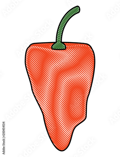 habanero chili pepper icon over white background, colorful design. vector illustration