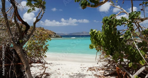 tropical ocean view through the trees, jumbie bay beach, st john, virgin islands photo