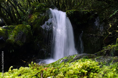 Cascading waterfall in Franz Joseph national park