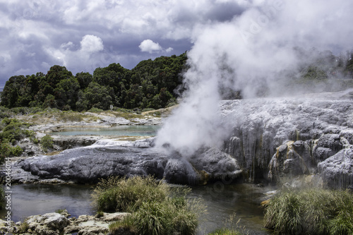 Te puia new zealand day trip north island geothermal geyser