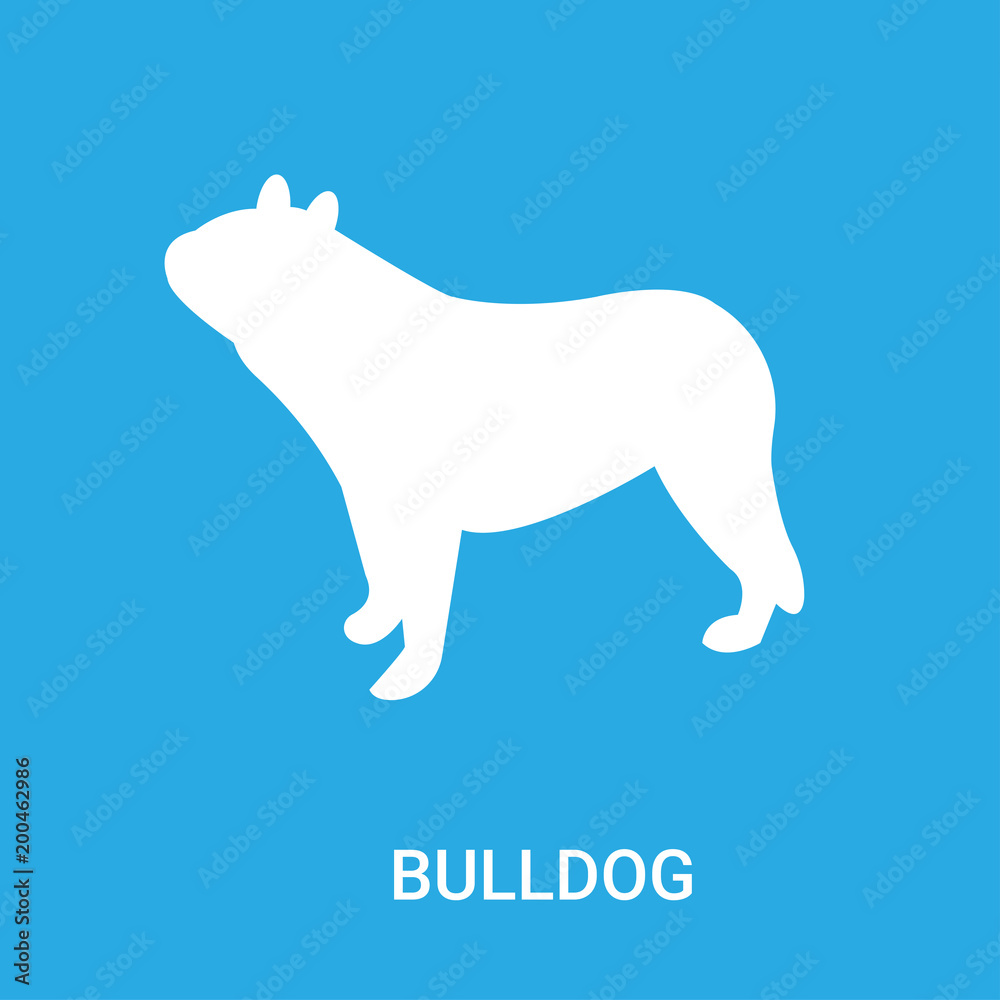 bulldog icon on blue background, in white, vector icon illustration