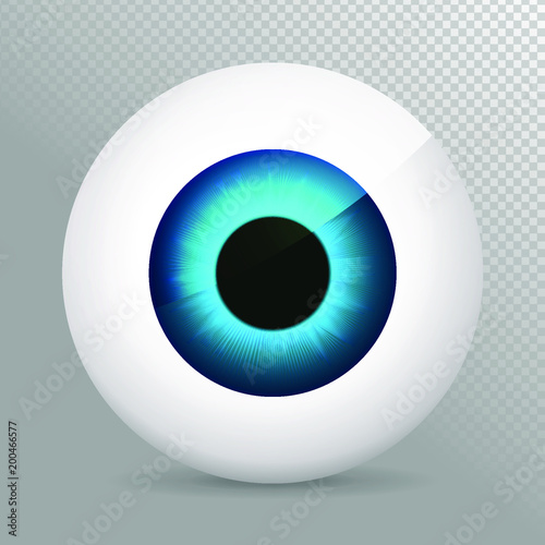 Eye, blue. Realistic 3d indigo eyeball vector illustration. Real human iris,pupil and eye sphere. Icon on transparent background. Isolated macro color eyeball. Character eyes design. Anatomy close up.