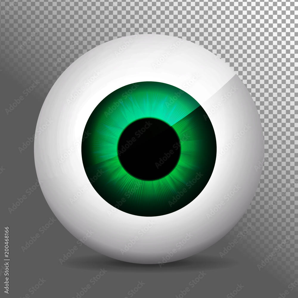Eye. Realistic 3d eyeball vector illustration. Real human iris,pupil and eye sphere. Icon on transparent background. Isolated macro color eyeball. Character eyes design. Circle anatomy close up. Eye. Realistic 3d eyeball vector illustration. Real human iris,pupil and eye sphere. Icon on transparent background. Isolated macro color eyeball. Character eyes design. Circle anatomy close up.