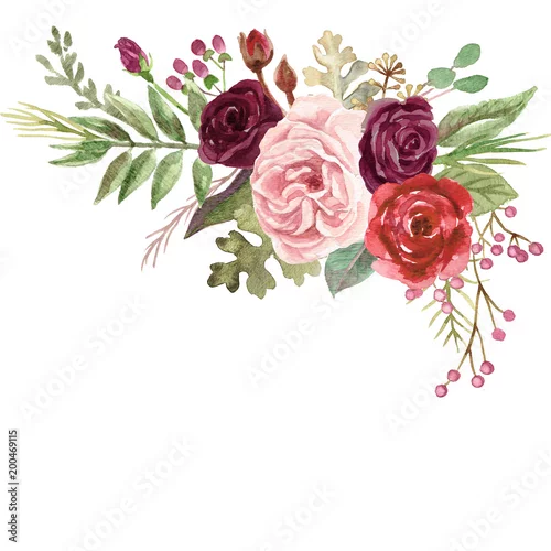 Naklejka na ścianę Akwarela Marsala i Różowe Róże