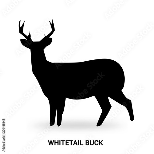 whitetail buck silhouette isolated on white background