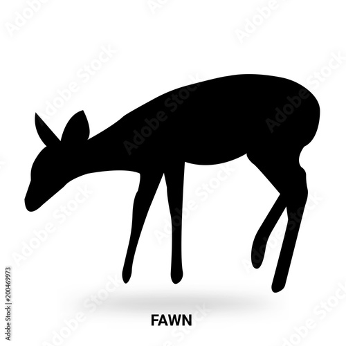 fawn silhouette isolated on white background