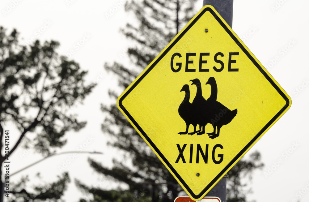 Geese Crossing Road Sign