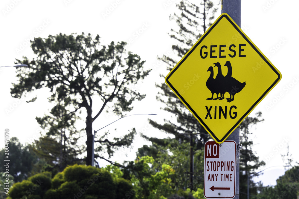 Geese Crossing Sign