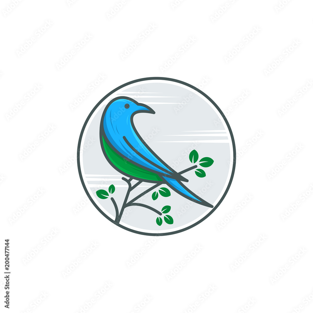 bird logo template vector illustration bird logo template vector illustration