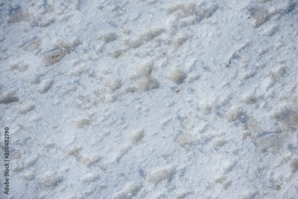 Fototapeta premium texture of melting spring snow