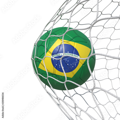 Brazil Brazilian flag soccer ball inside the net  in a net.