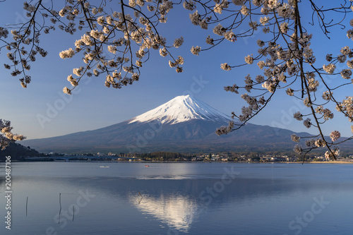 河口湖畔の桜と富士山 © san724