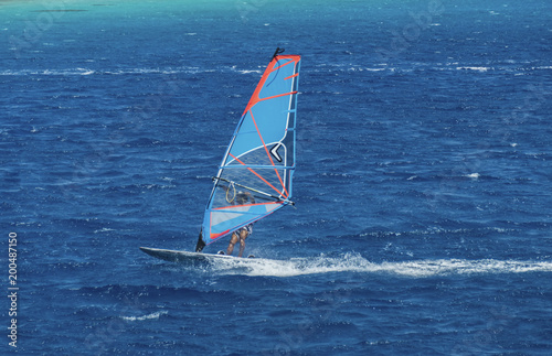 the windsurfer on the board under sail moves at a speed along the surface of the sea,