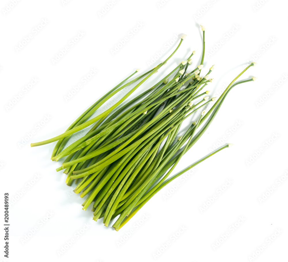 Chives flower or Chinese Chive isolated on white background.. Chives flower or Chinese Chive isolated on white background..