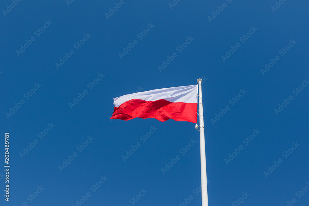 Flag of Poland waving. 