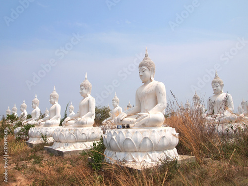 Sakeaw ,Thailand  - March 29 , 2015 : Row of White Buddha statue on the field for worship.