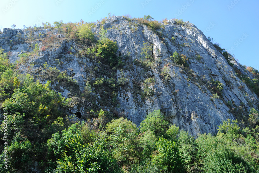Mountain in summer with trees and sky