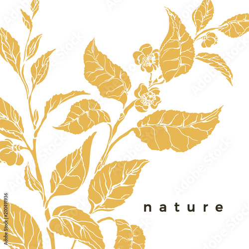 Vector tropical template of tea bush