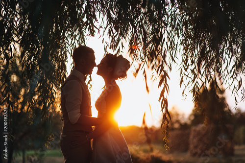 Beautiful silhouette of the bride and groom under the willow. Newlyweds at sunset. Summer wedding. Silhouette.