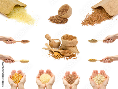 set of different woman hand holding organic oatmeal flakes, buckwheat, corn and rice. Isolated on white background