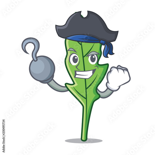 Pirate arugula character cartoon style