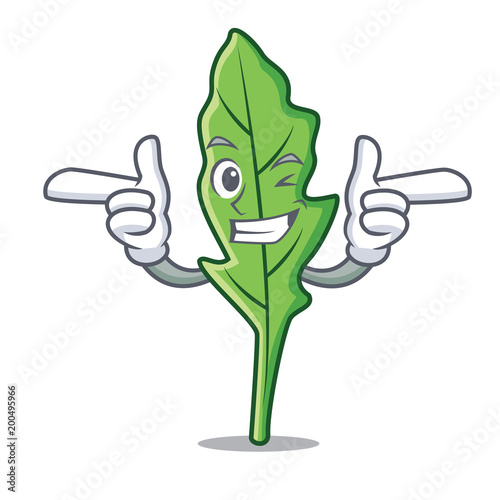Wink arugula character cartoon style
