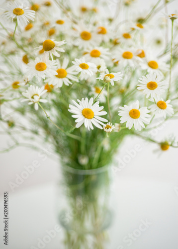 
Bouquet of field chamomiles in a vase
