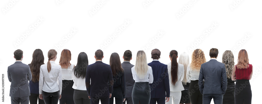 Back view group of business people. Rear view. Isolated over white background.