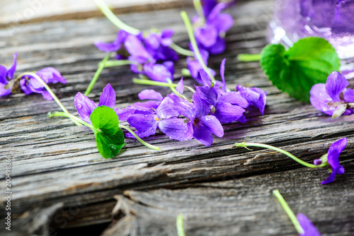 Produkte aus Veilchen - Viola; Duftveilchen; Blüten; Kräuter; Naturheilkunde; Medizin; Homöopathie; 