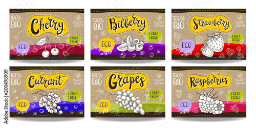 Set of hand drawn food labels, spices labels, fruit labels, vegetable labels