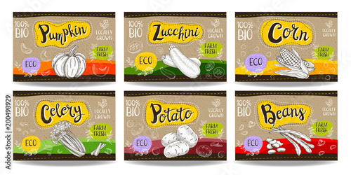 Set of hand drawn food labels, spices labels, fruit labels, vegetable labels