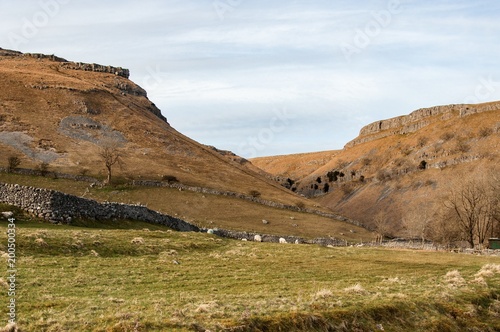 Looking up at sheep grazing in the Yorkshire Dales