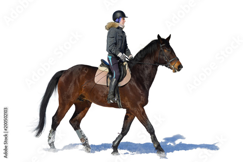 Horseback riding. A woman rides a horse. Training. Hippodrome. Sunny day