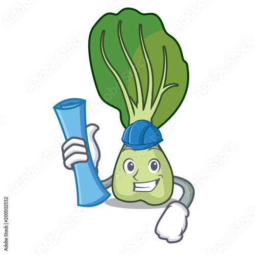 Architect bok choy character cartoon