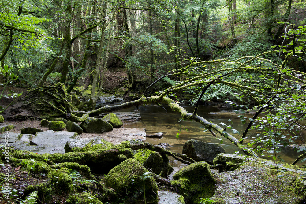 Kleiner Fluss im Dartmoor - Devon - England Kleiner Fluss im Dartmoor - Devon - England