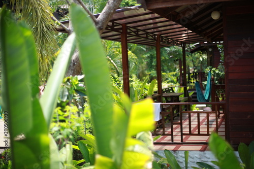 Fototapeta Naklejka Na Ścianę i Meble -  Luxurious tropical plants in a spa resort with hammock on the terrace in the jungle