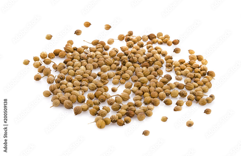 dry coriander seeds on white background