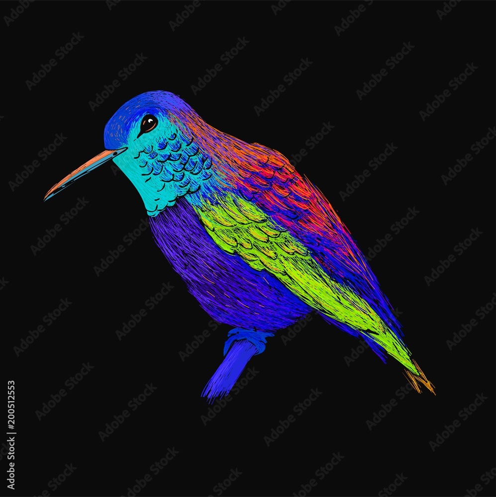 Hummingbird with colorful glossy plumage. Modern pop art style. Colorful  bird, black background. Vector illustration of colibri for greeting card,invitation,print,web  project. Bright and vivid colors. Stock Vector | Adobe Stock