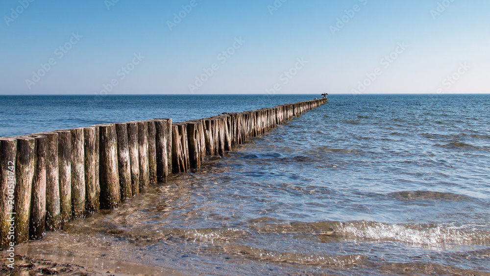 Sonnenbad am Meer Sonnenbad am Meer
