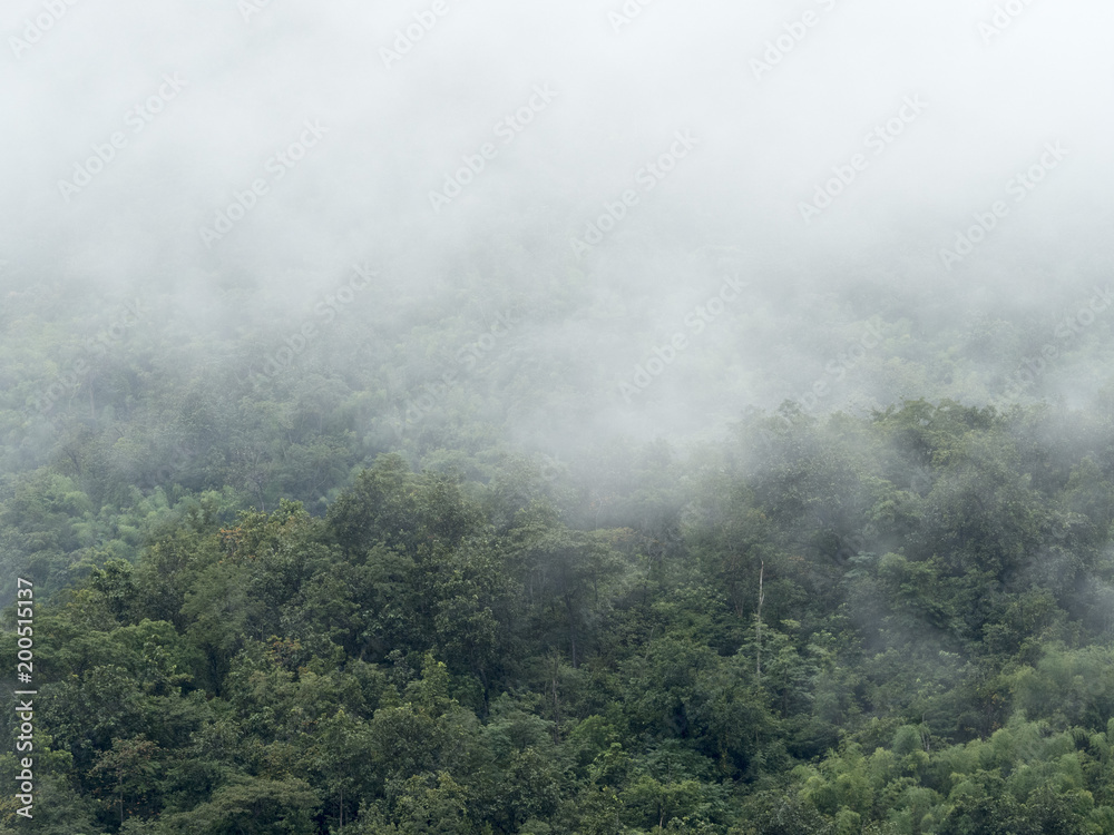 Plakat drzewo i mgła na górze rano w Tajlandii w pobliżu zapory
