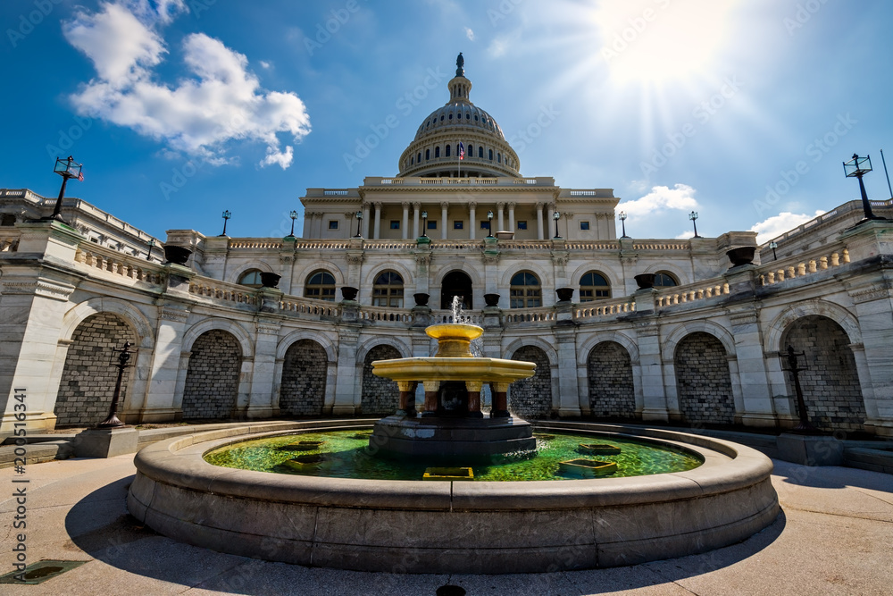 Fototapeta premium US Capitol 4