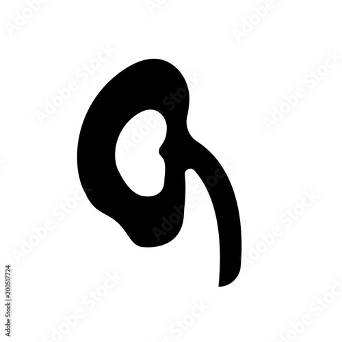kidney icon isolated on white background