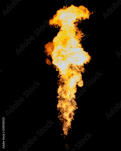 Bright fire isolated on black. Flame tongue goes from gas burner.