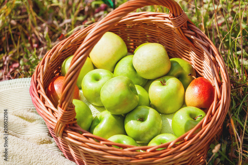 Wicker basket with green apples and red pears on grass.