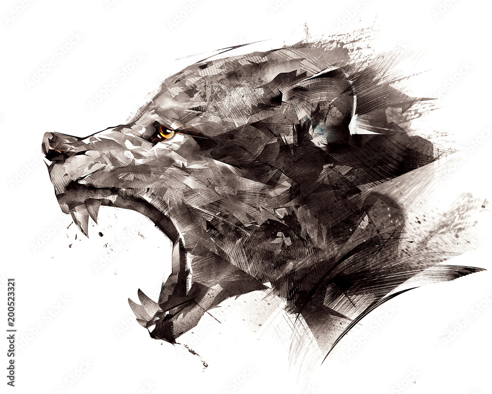Sketch Wolf Wolf Sideways On A White Background Stock Illustration Adobe Stock