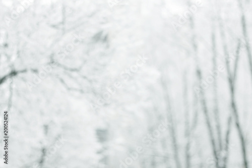 blurred image of trees in winter Park