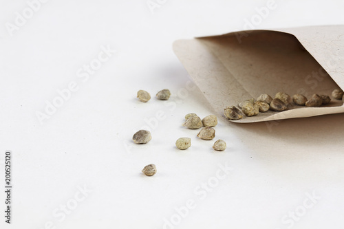 Open packet of spinach seeds with some scattered in front of envelope. Extreme shallow depth of field with selective focus on seed in front. photo