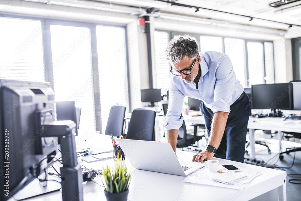 Mature businessman using laptop at desk in office Mature businessman using laptop at desk in office