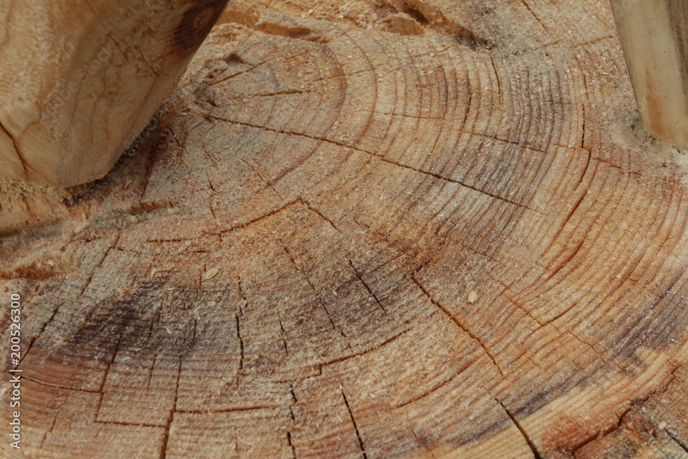 Gỗ thật: Hãy cùng chiêm ngưỡng hình ảnh về sản phẩm làm từ gỗ thật đầy sang trọng và đẳng cấp. Với chất liệu tuyệt vời này, sản phẩm chắc chắn sẽ mang lại sự ấm áp và đem lại cảm giác thân thuộc như trong nhà của bạn.