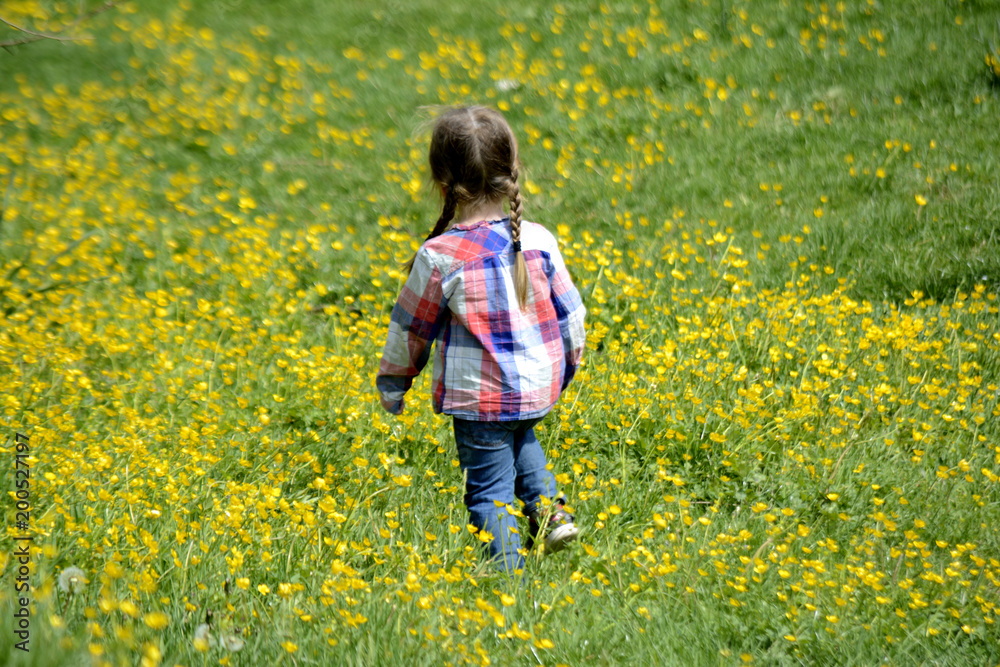 little girl walking on the field with yellow flowers little girl walking on the field with yellow flowers